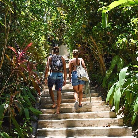 Funky Monkey Lodge Playa Santa Teresa  Exterior foto