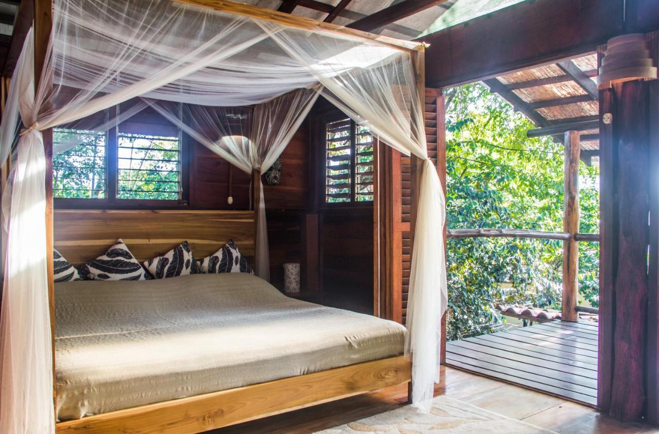 Funky Monkey Lodge Playa Santa Teresa  Exterior foto