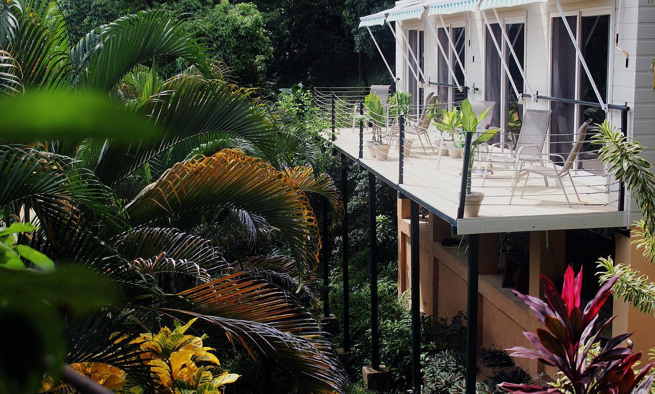Funky Monkey Lodge Playa Santa Teresa  Exterior foto