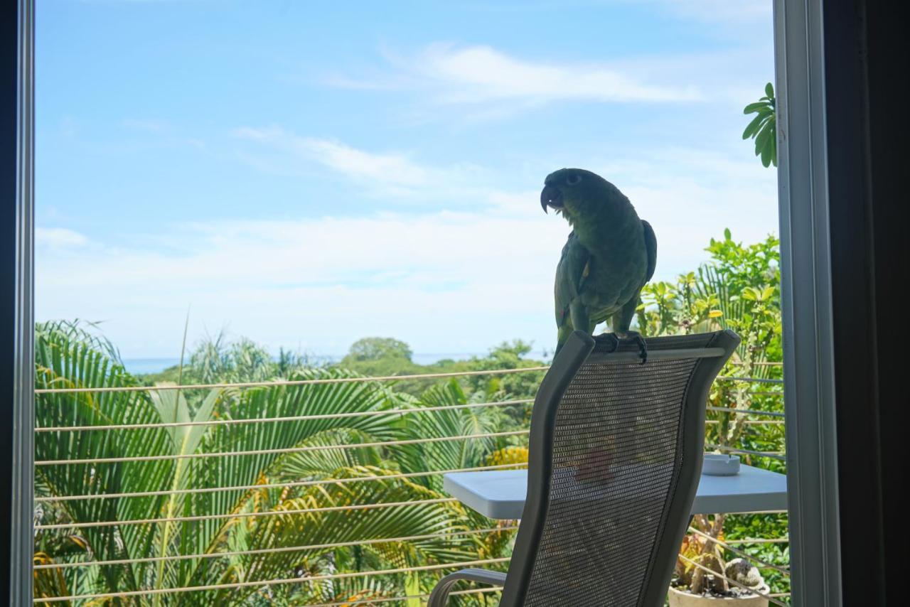 Funky Monkey Lodge Playa Santa Teresa  Exterior foto