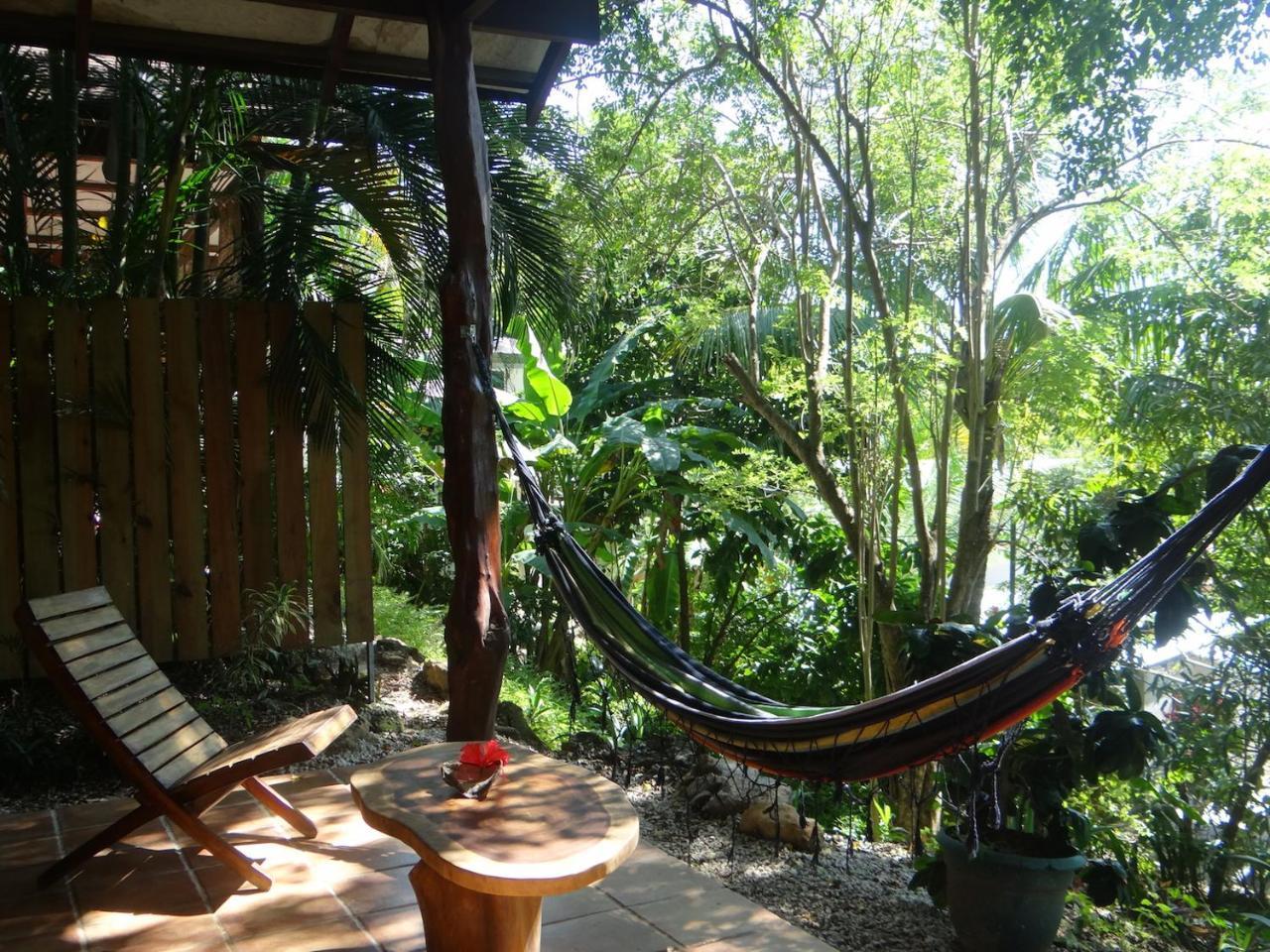 Funky Monkey Lodge Playa Santa Teresa  Exterior foto